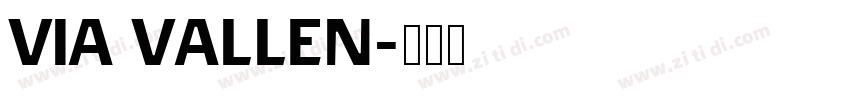 VIA VALLEN字体转换